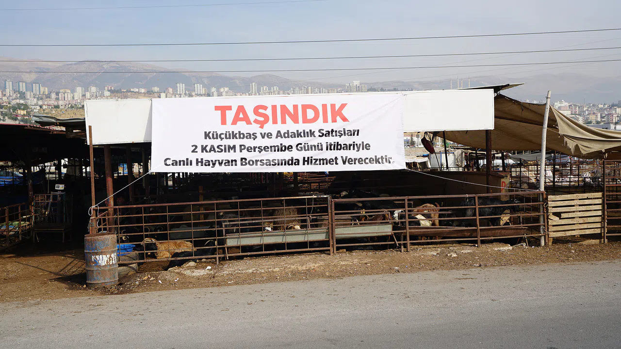 Kahramanmaraş'ta Adaklık Satış Merkezi Canlı Hayvan Borsası'na Taşınıyor