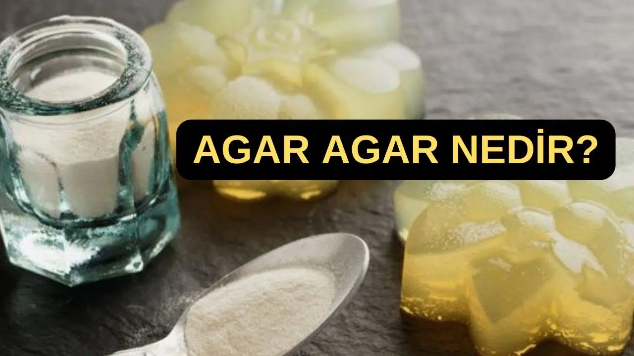 Agar Agar Nedir ve Sağlık İçin Tüketimi Nasıl Olmalı?