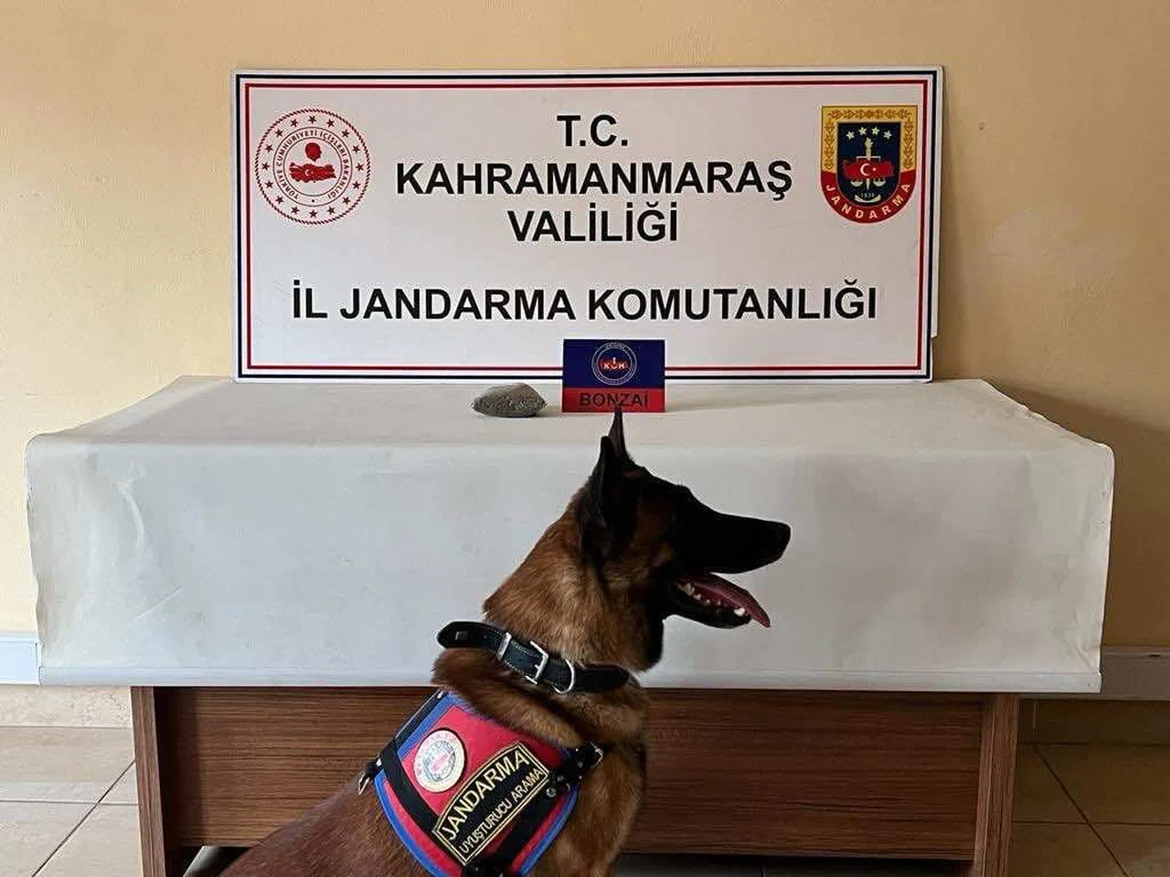 Kahramanmaraş'ta Uyuşturucu Operasyonunda 3 Şüpheli Gözaltına Alındı