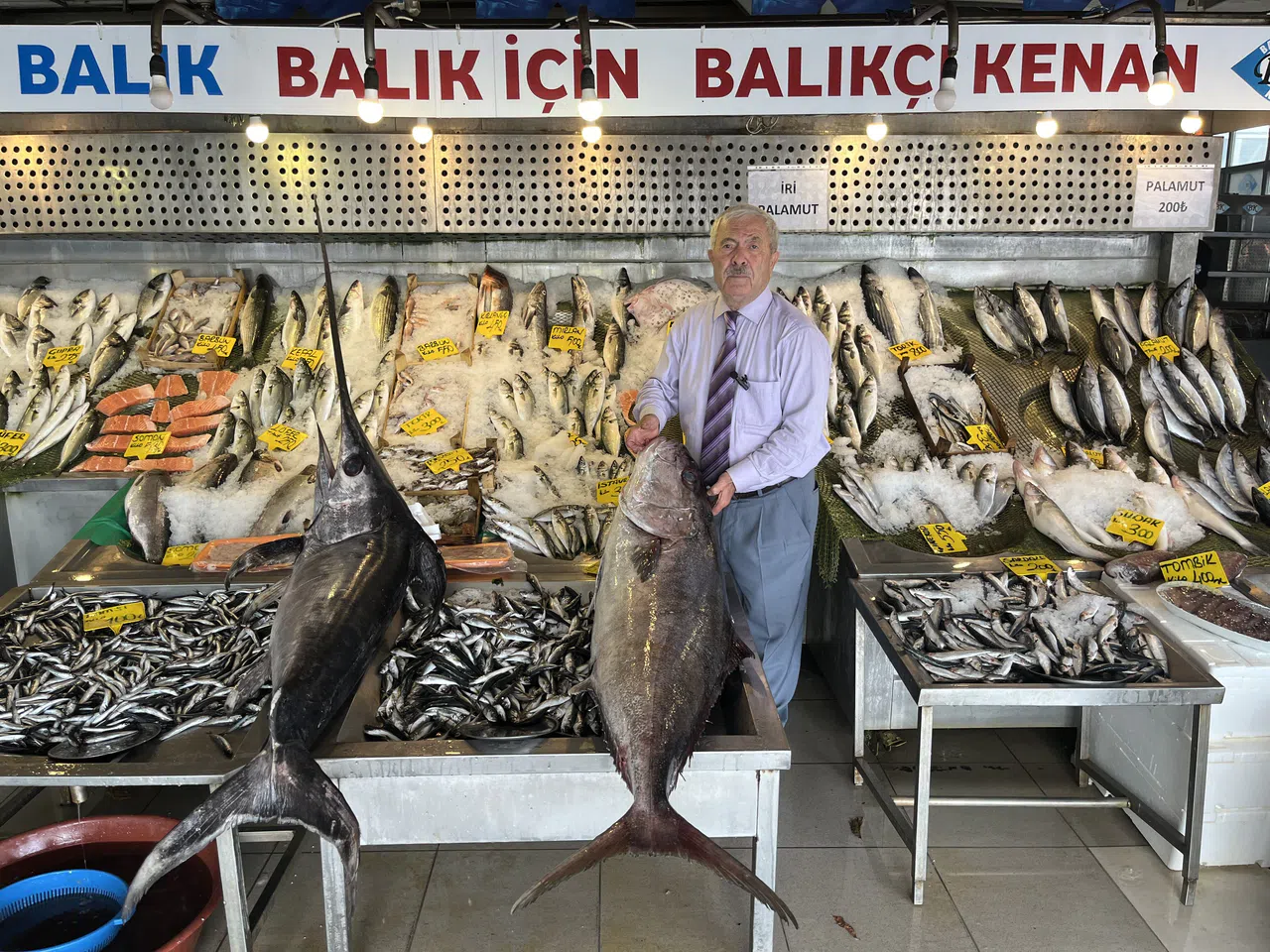 Balık fiyatları düşecek