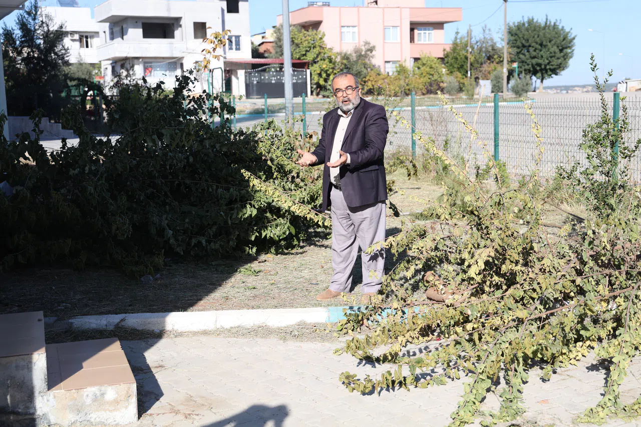 İmam ile dernek başkanı arasında 'ağaç kesme' tartışması