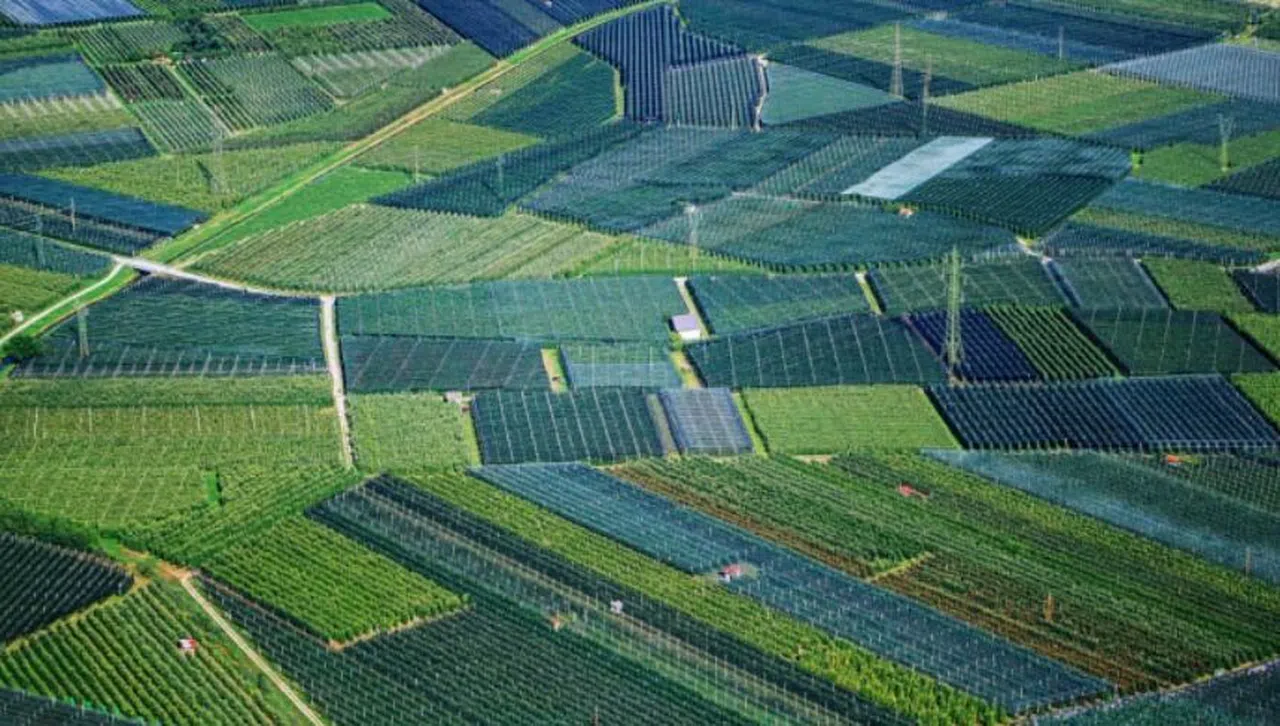 Kahramanmaraş’ta tarım arazisi mahkemeden satışa çıkartıldı