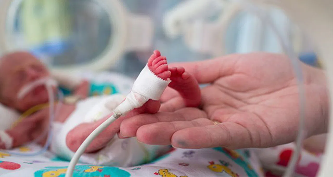 Tüp bebek ile doğum yapma şansı yüzde 98'i geçiyor