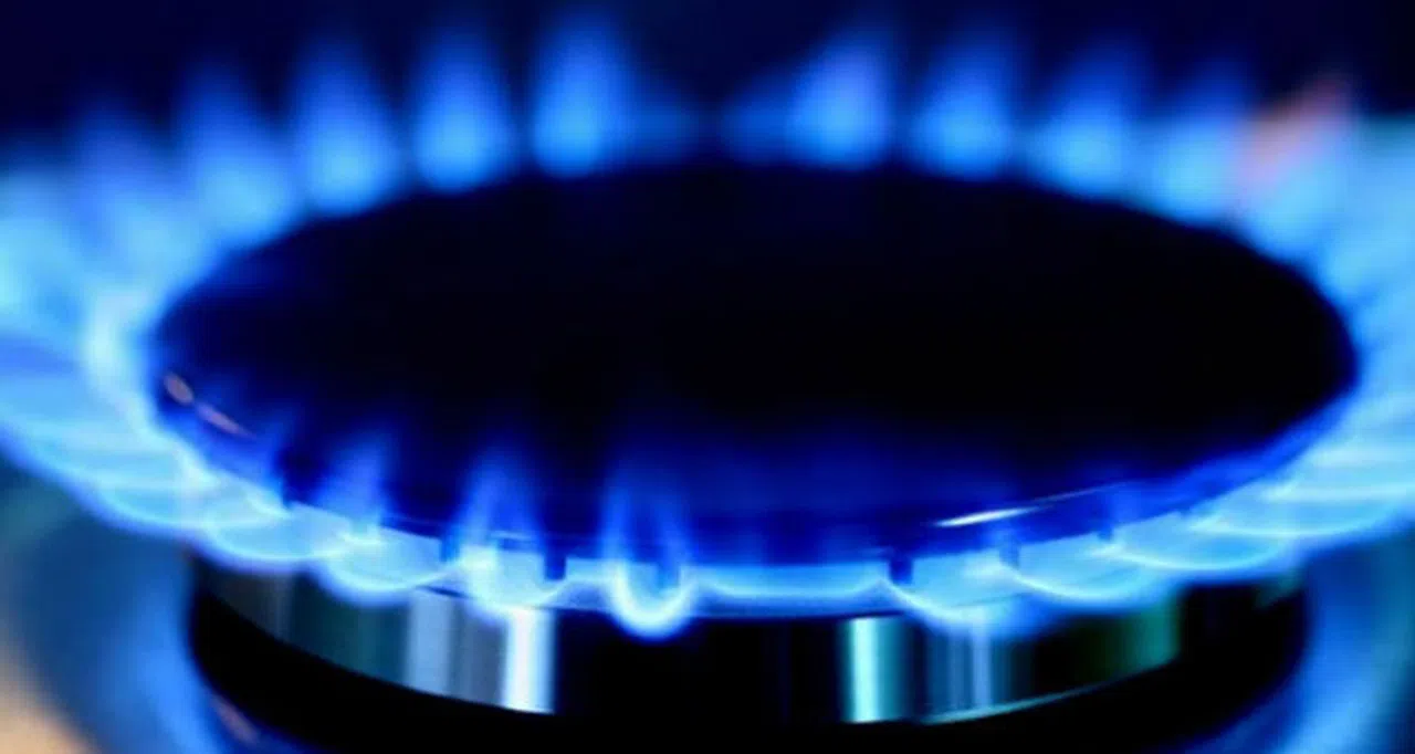 BOTAŞ doğal gaz satışlarına zam yapılmadığını açıkladı