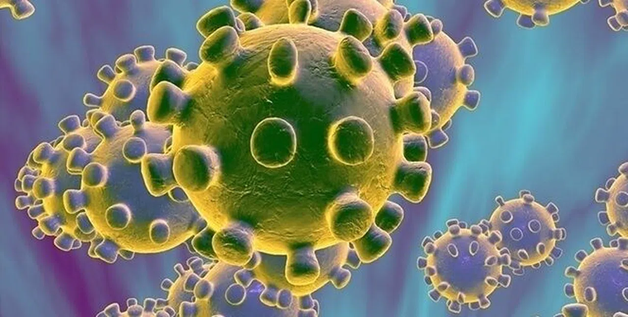 Corona Virüs Bitti 'JN1' Varyantı Başladı! JN1 Varyantı nedir? Nasıl Bulaşır? JN1 Varyantı Belirtileri Nelerdir?