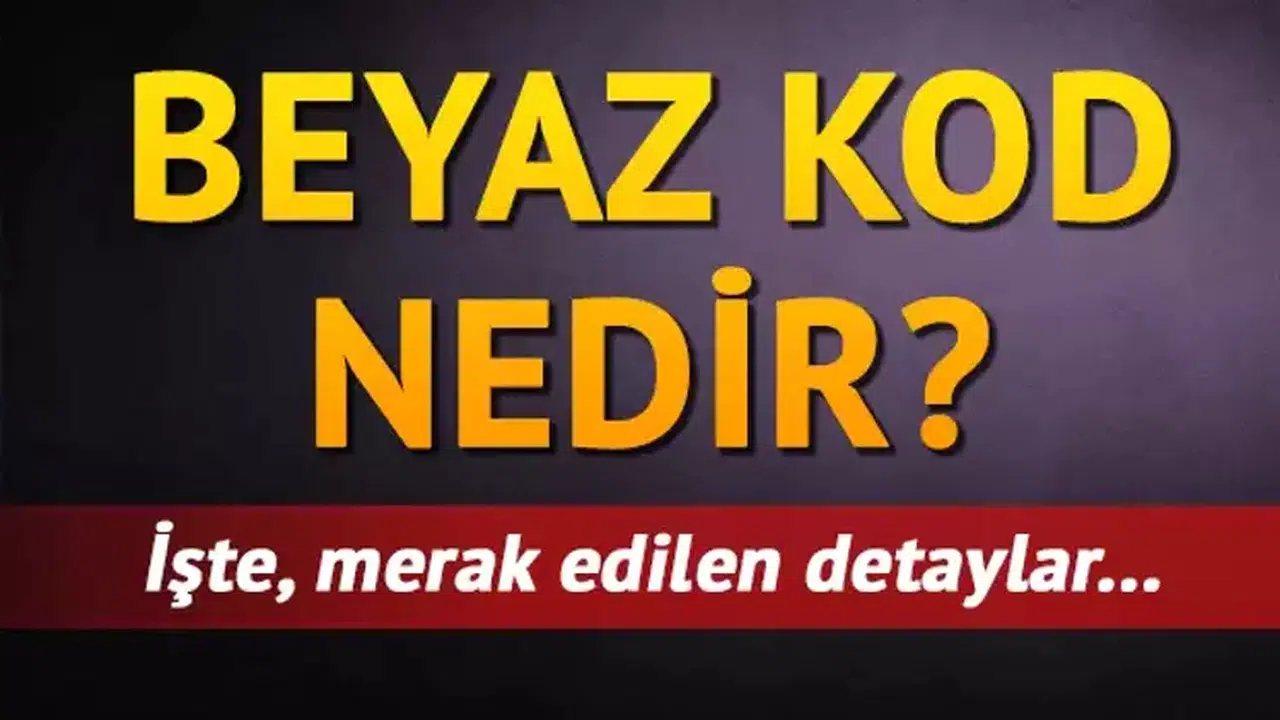 BeyazKod1111 nedir? Beyaz Kod nedir? Kimler tarafından Nasıl kullanılır?