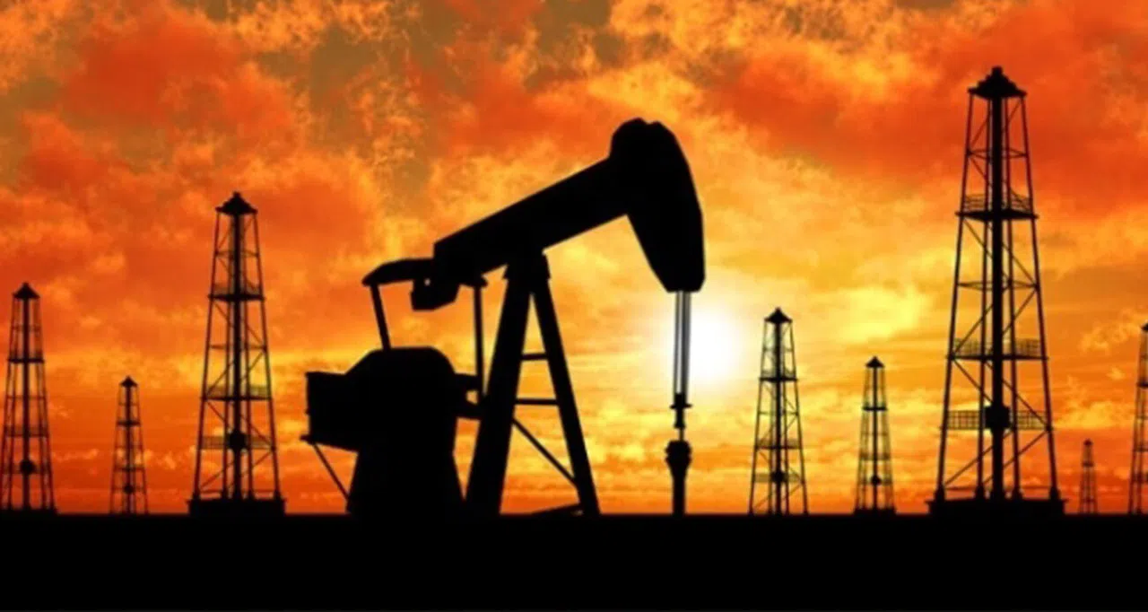 Rize Çayeli'nde Tarihi Keşif: Osmanlı Döneminden Beri Var Olan Petrol Rezervi Halkı Heyecanlandırdı!