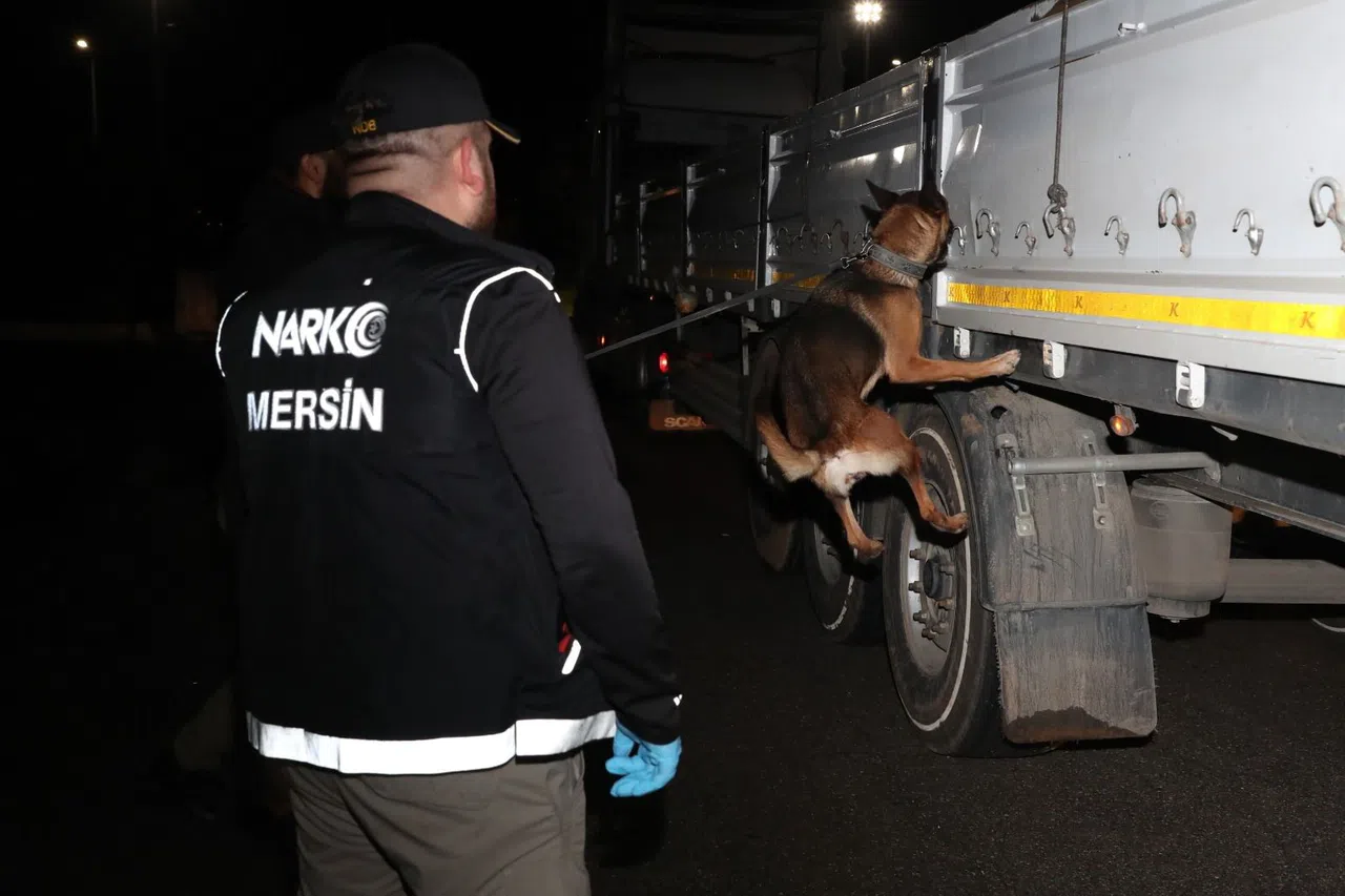 Mersin'de bir tırda 22 kilo 300 gram esrar ele geçirildi
