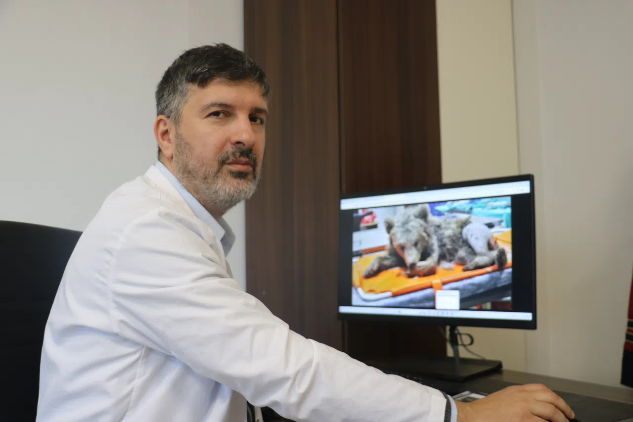 “Bu dönemde ormanlık alanlardan uzak durun”
