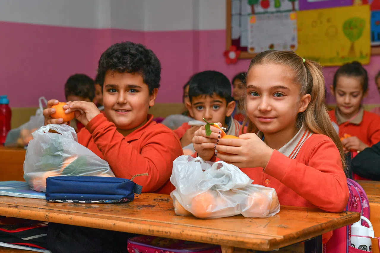 Okullardaki çocuklara 100 ton narenciye dağıtılacak  