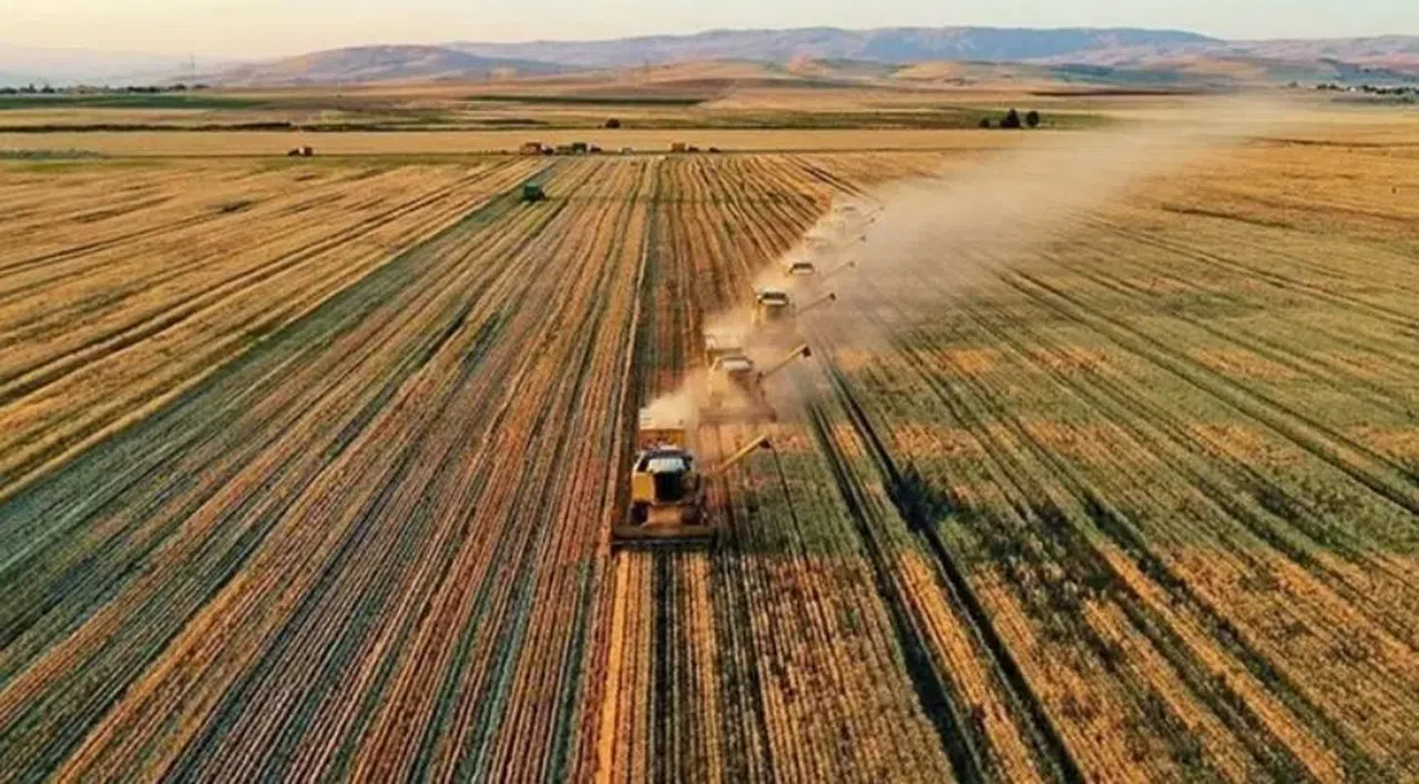 Kahramanmaraş’taki çiftçilere 232 milyon TL’lik destek ödemesi