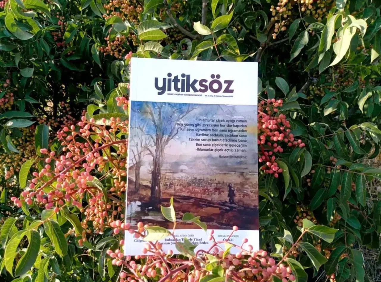 Yitiksöz Dergisi, Yılın Dergisi Seçildi