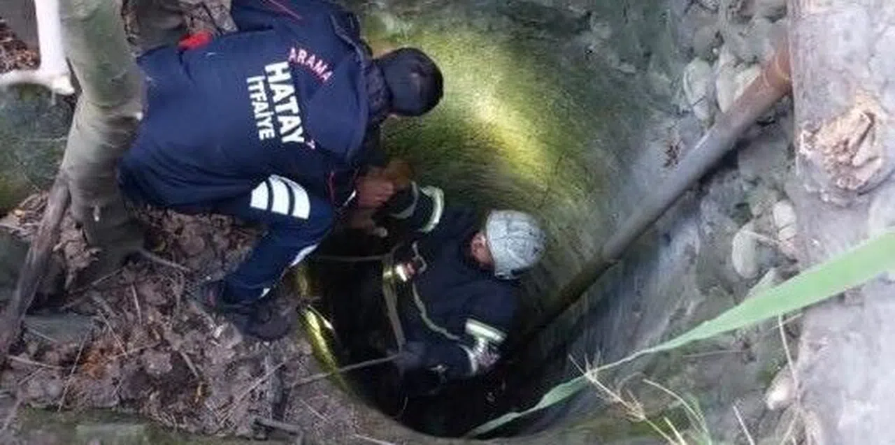 İtfaiye ekipleri kuyuya düşen yavru köpeği kurtardı