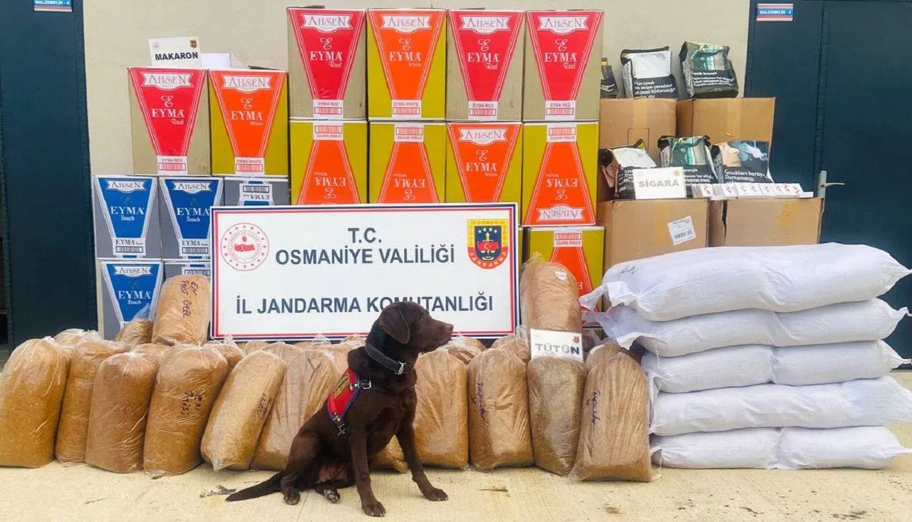 487 kilo kaçak tütün ele geçirildi  