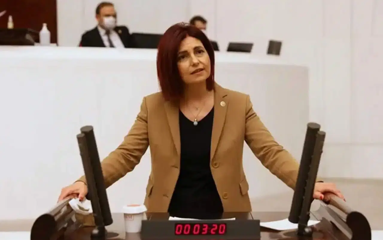 Emine Gülizar Emecan Kimdir? Kaç yaşında, Nereli?