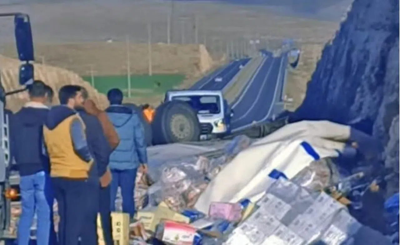 Seyir halindeki gıda yüklü tır devrildi
