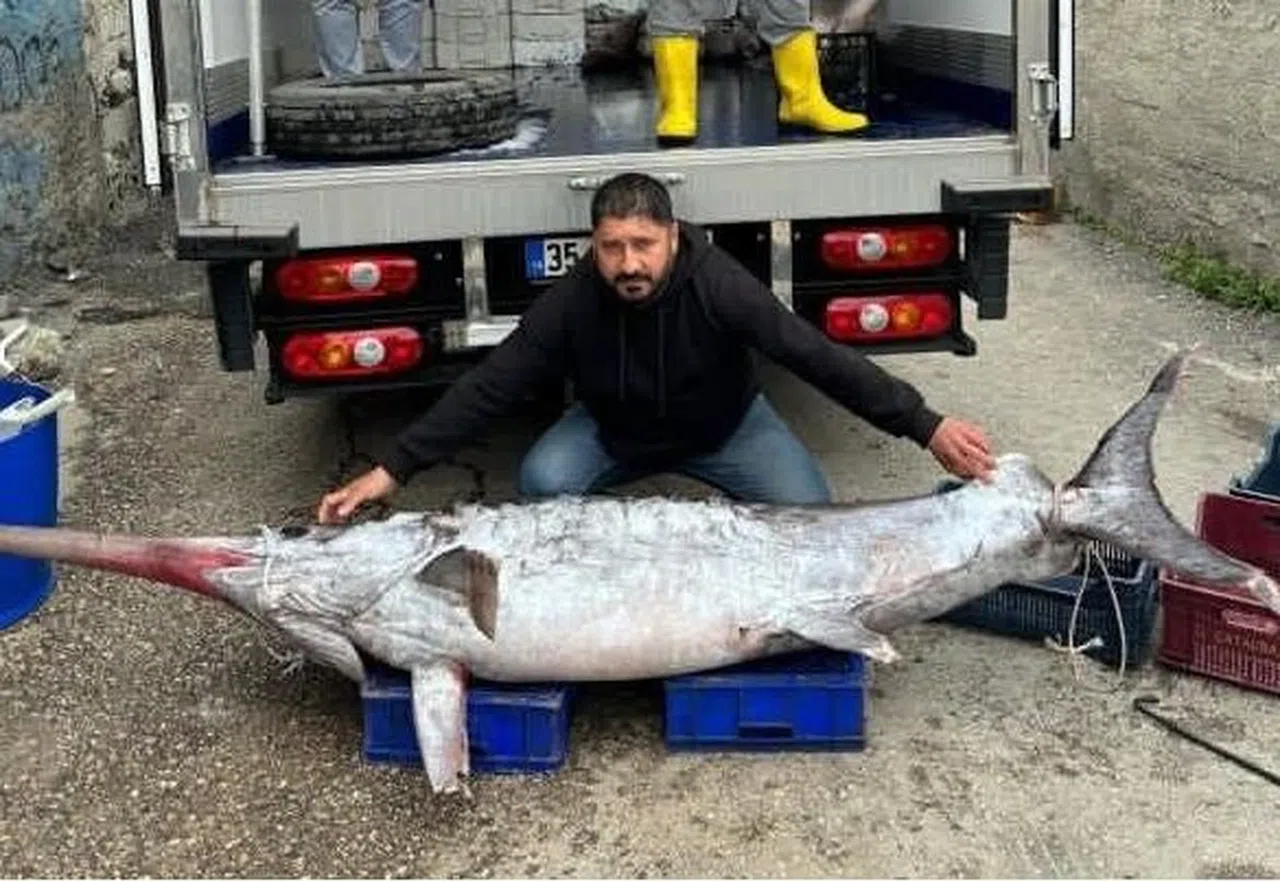 150 kiloluk kılıç balığı yakalandı