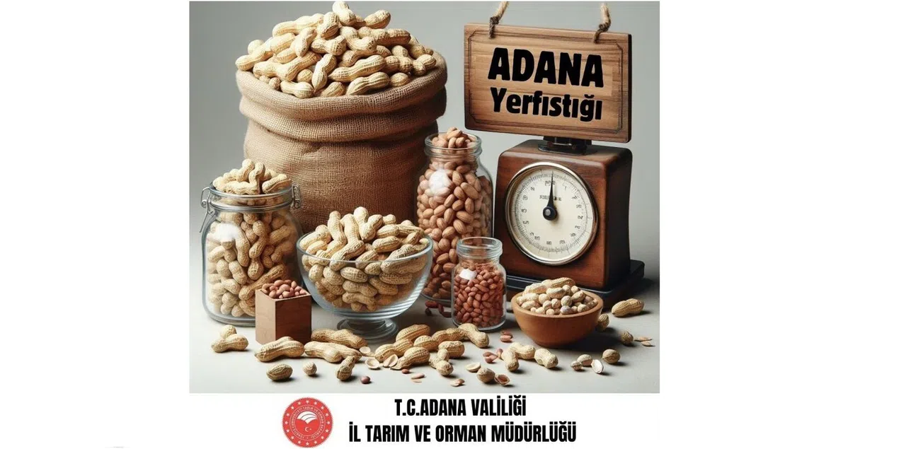 Adana yerfıstığı üretiminde Türkiye birincisi
