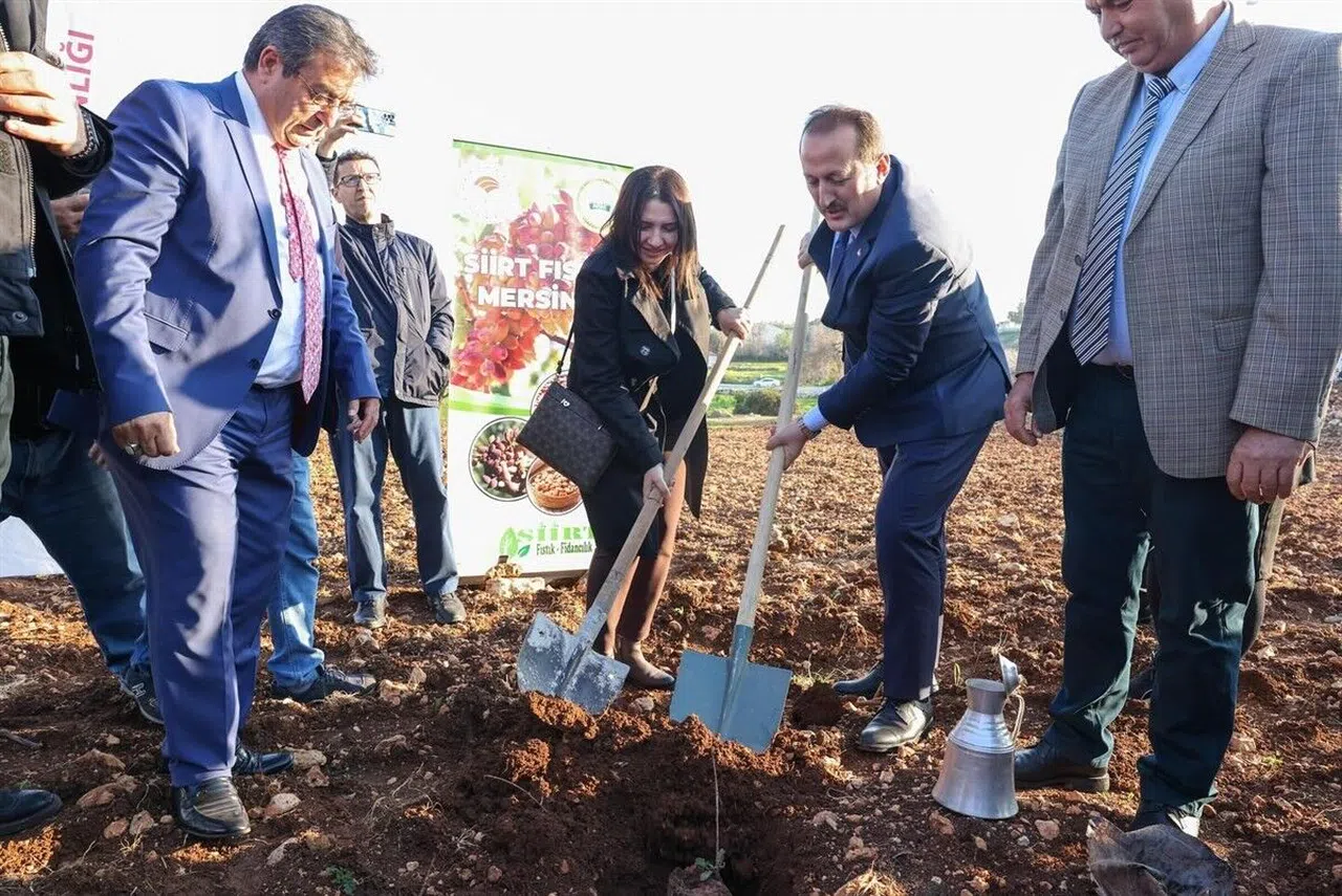 Siirt Fıstığı Mersin’de projesi