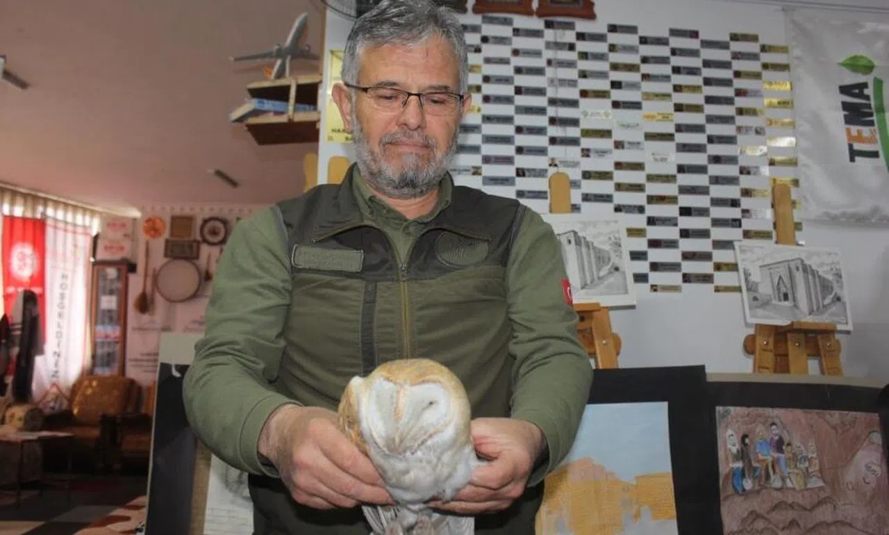 Yaralı baykuşu tedavi etti