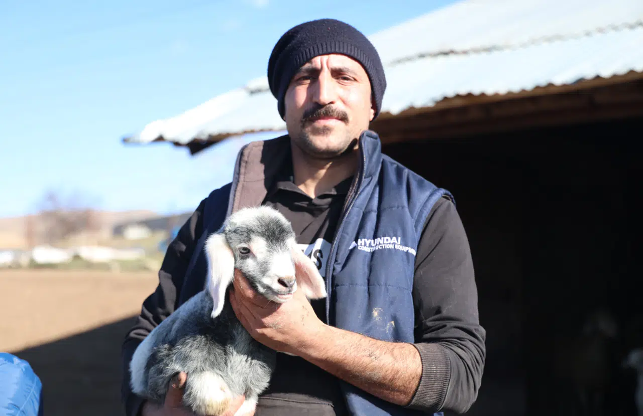 Bahar müjdelendi: Koyunlar kuzularına kavuştu!