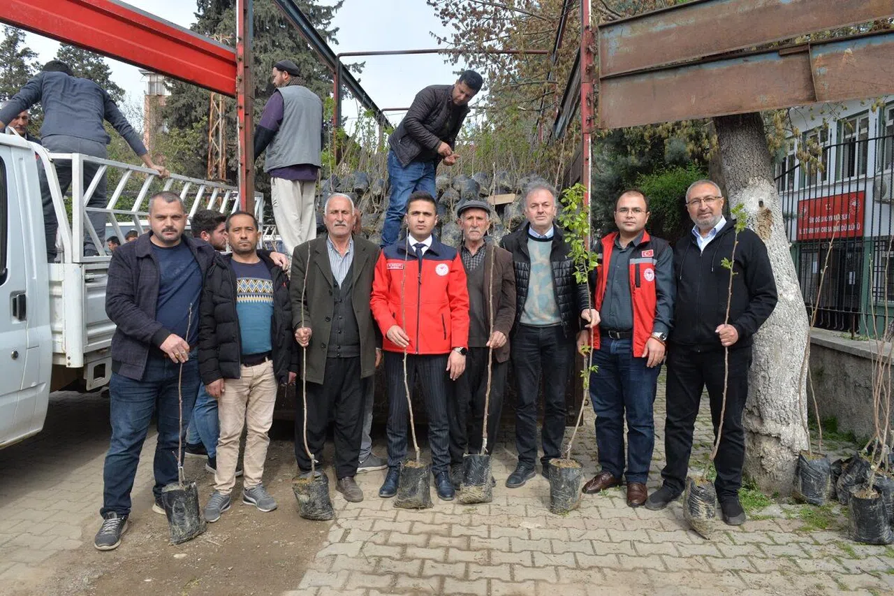 Çiftçilere fidan dağıtıldı
