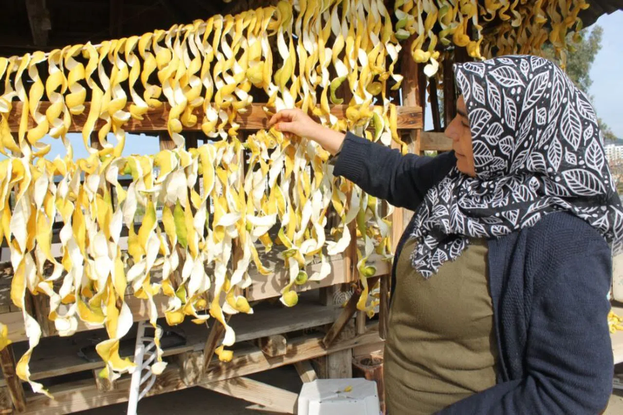 Dalından kilosu 30 kuruş, kabuğu 17 lira