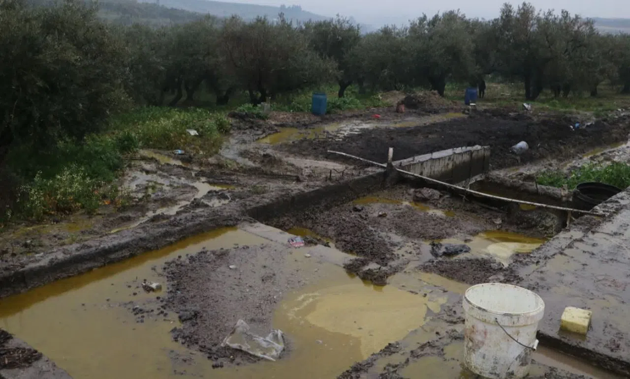 Depodan sızan tonlarca zeytinyağı araziye yayıldı