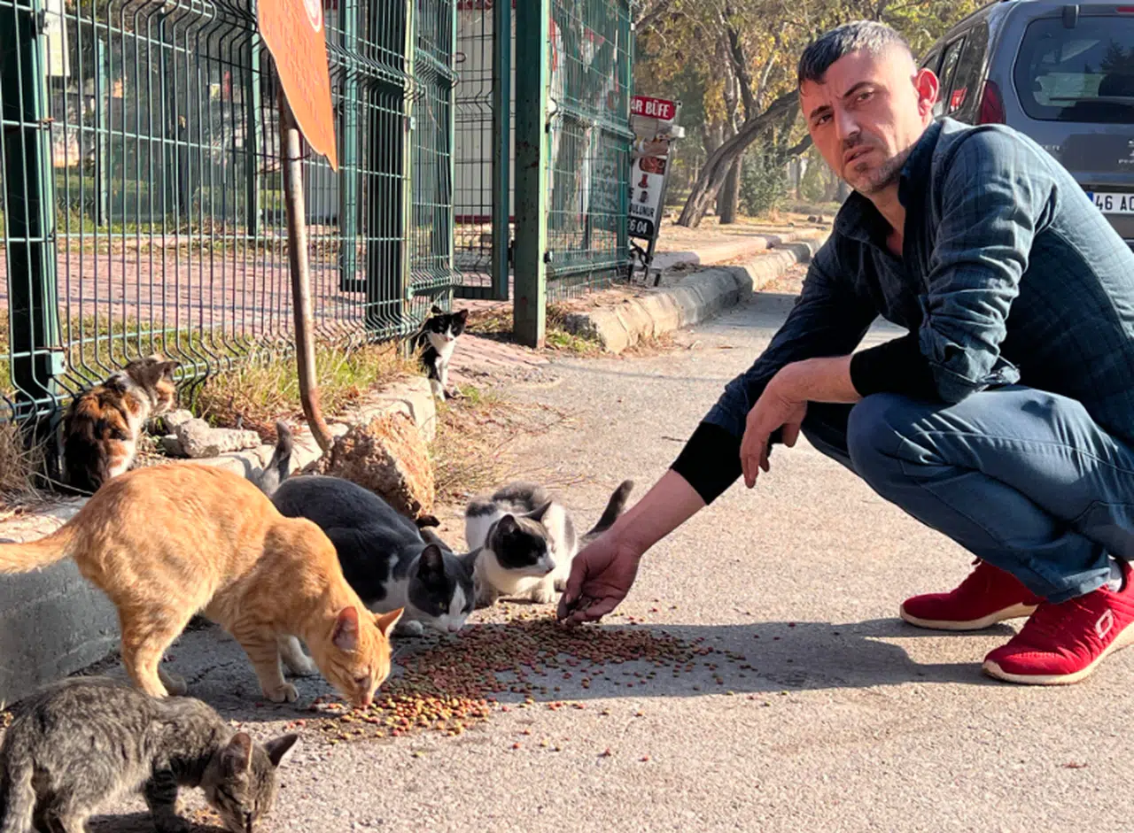 ‘Enkaz’ isimli kedileri enkaz bölgesinde besliyor
