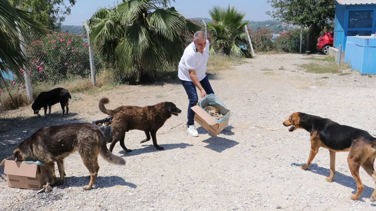 Kebapçı sokak hayvanlarını unutmuyor  