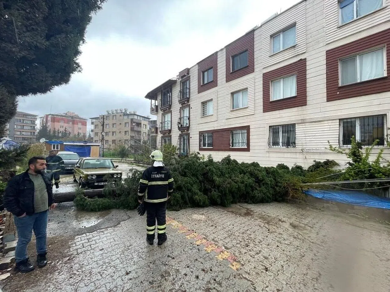 Kuvvetli fırtına ağacı yola devirdi  