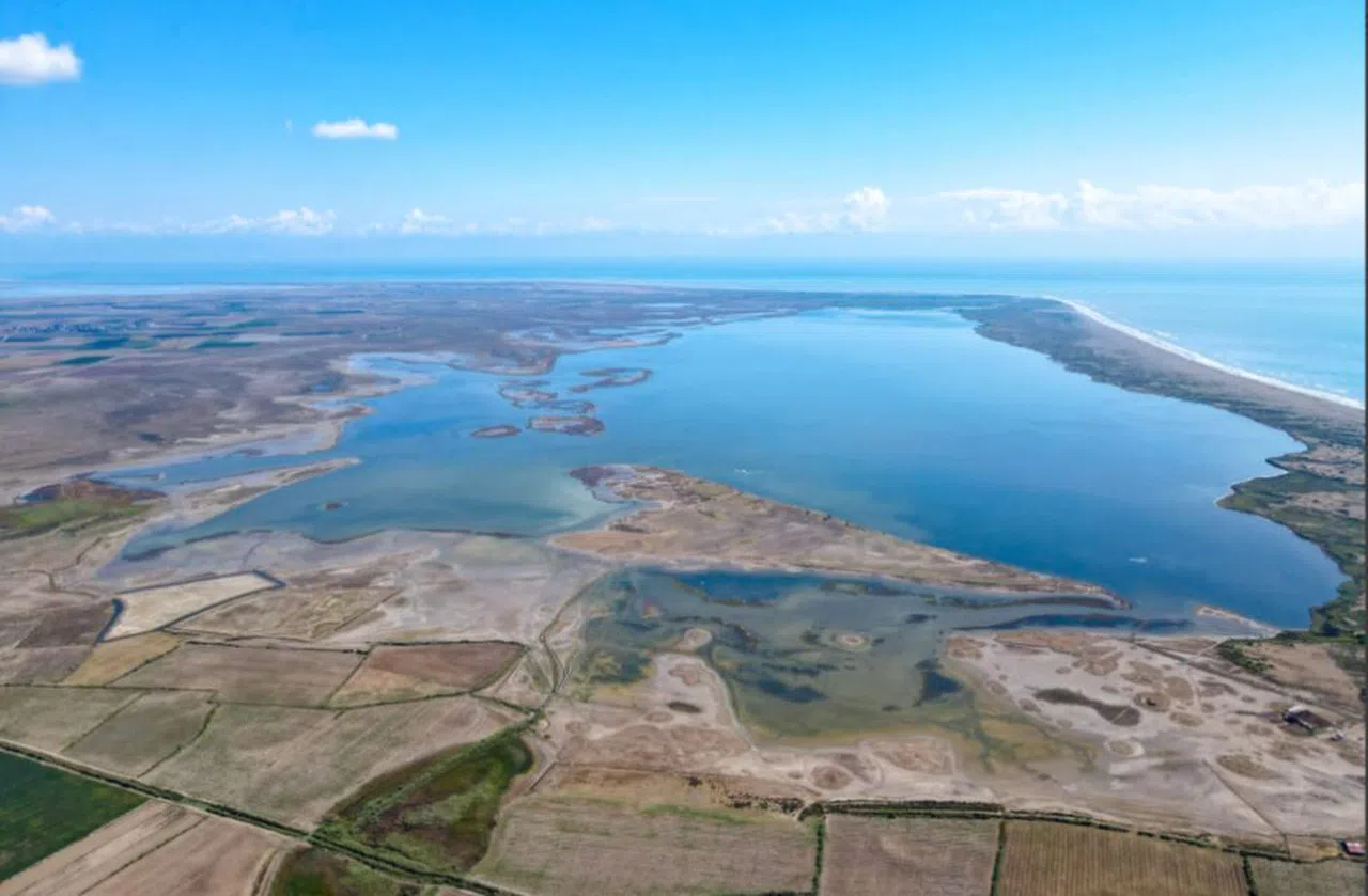 Yeşil deniz kaplumbağalarının yuvası çöl olmayacak  