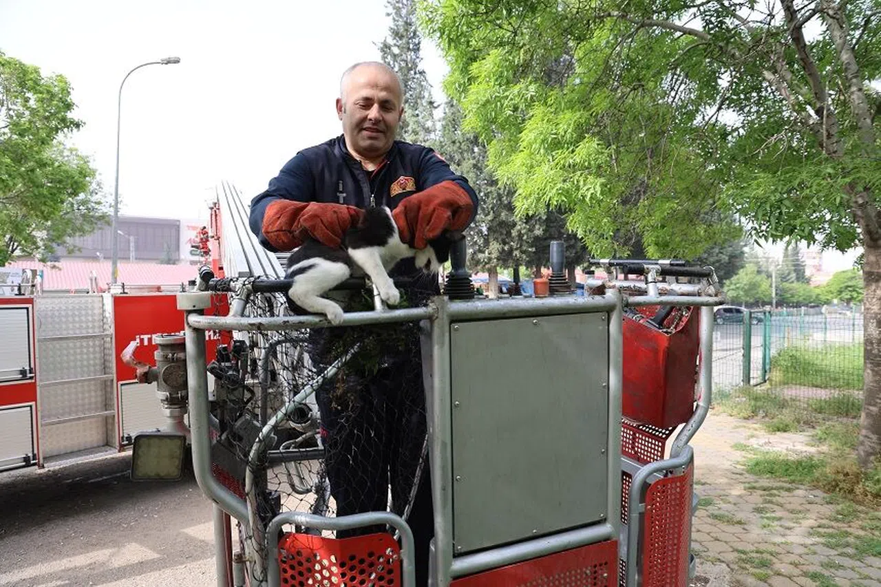 Kahramanmaraş İtfaiye Ekipleri Kediyi Kurtardı