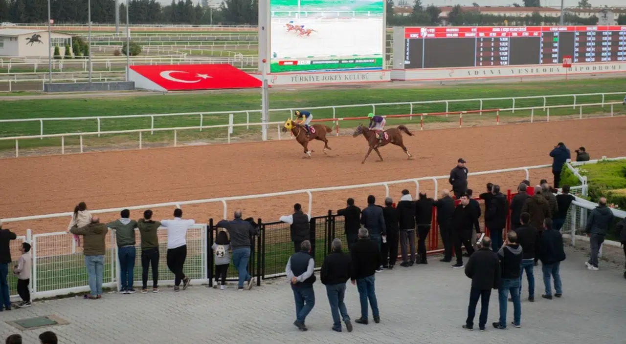 Adana'da at yarışı yapıldı  