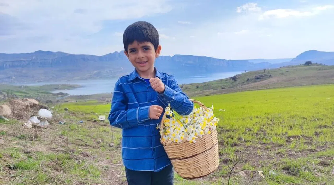 Adıyaman'da vatandaşlar doğal nergis tarlasına akın etti