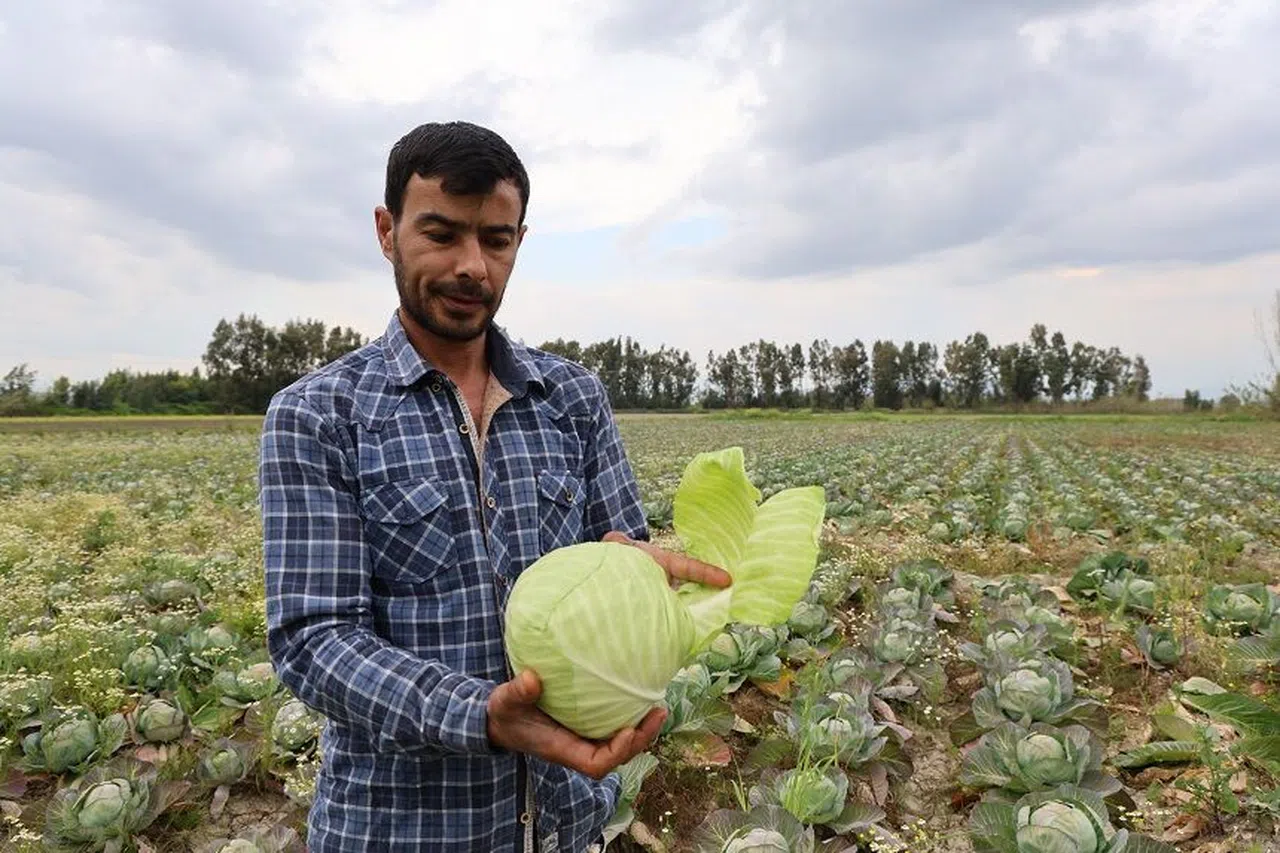Tarlada kalan lahanayı ücretsiz dağıtıyor  