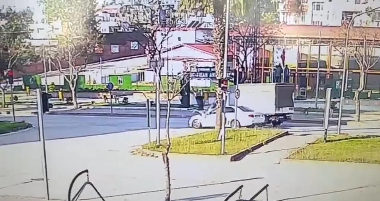 Köpeklerin kovaladığı genç kıza otomobil çarptı