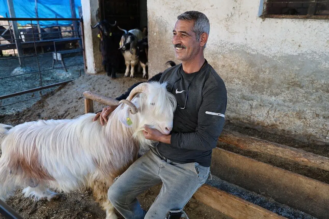 Kurbanlıklara bayram öncesi özel ilgi  