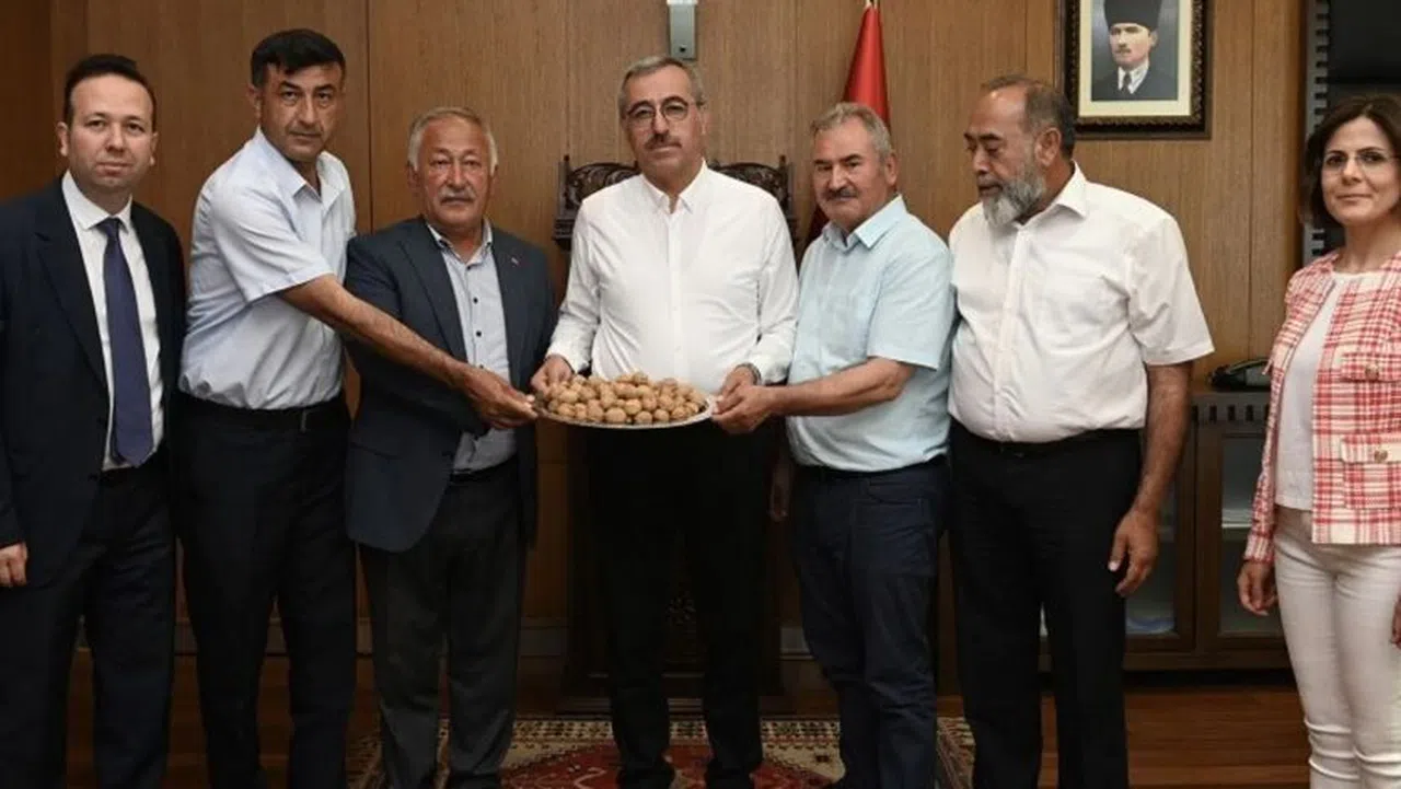 Çağlayancerit Cevizi Artık Dünya Markası