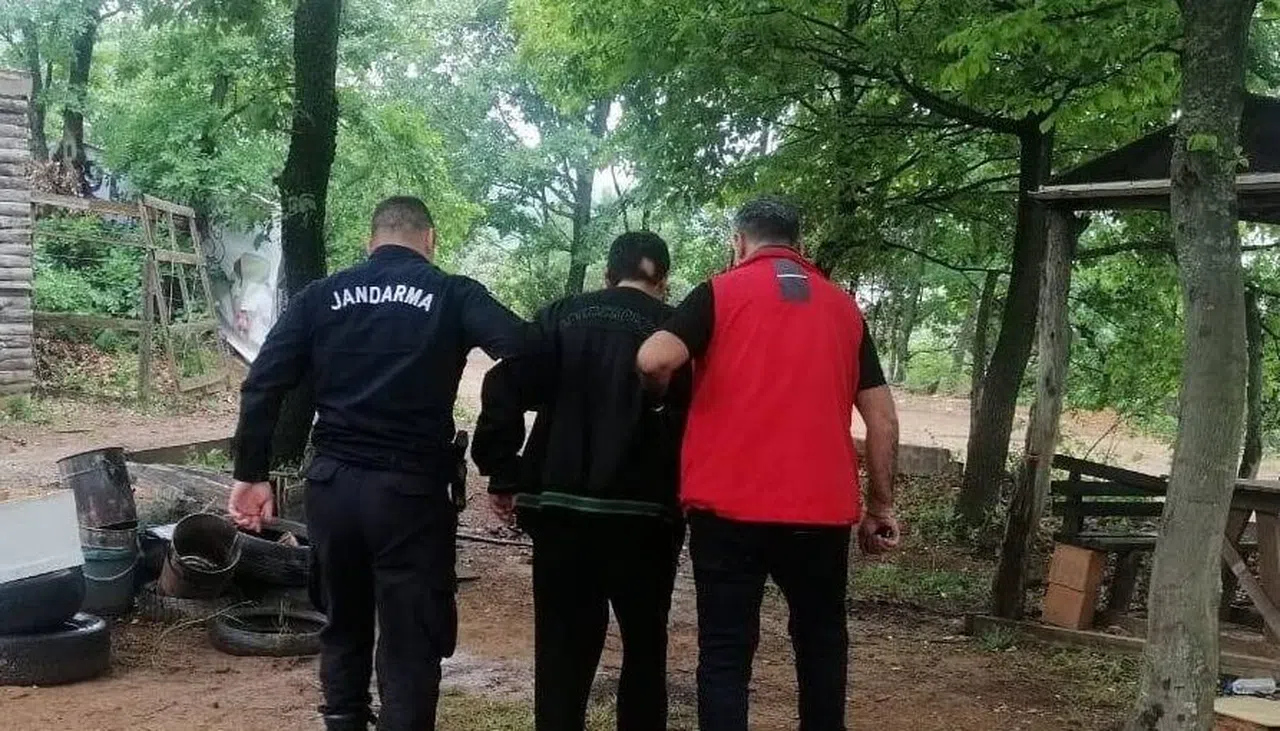 Ormanın yanmasına neden olan zanlı gözaltına alındı