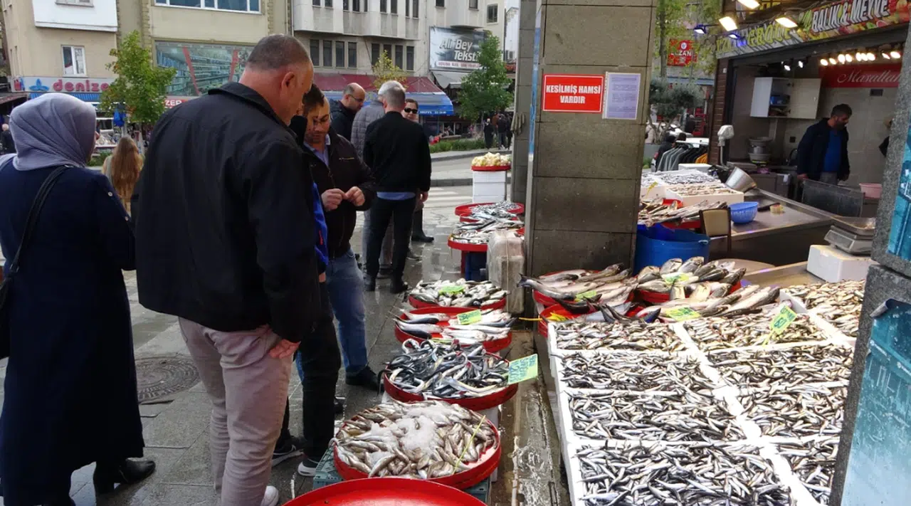 Hamsi sezonu sürüyor, palamut sezonu ise bitti
