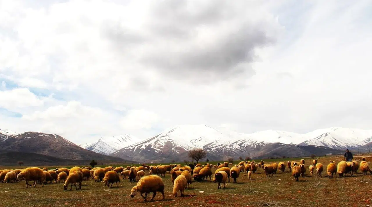 Kahramanmaraş'a yılın ilk karı yağdı