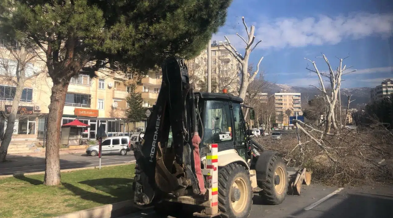Kahramanmaraş'ta ağaç budama ve kışlık bakım sezonu başladı