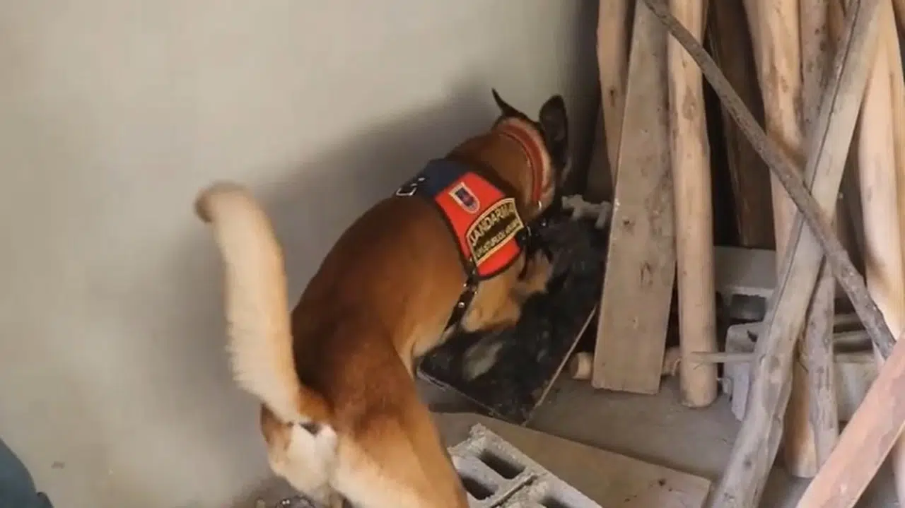 Kahramanmaraş’ta uyuşturucuya 7 tutuklama