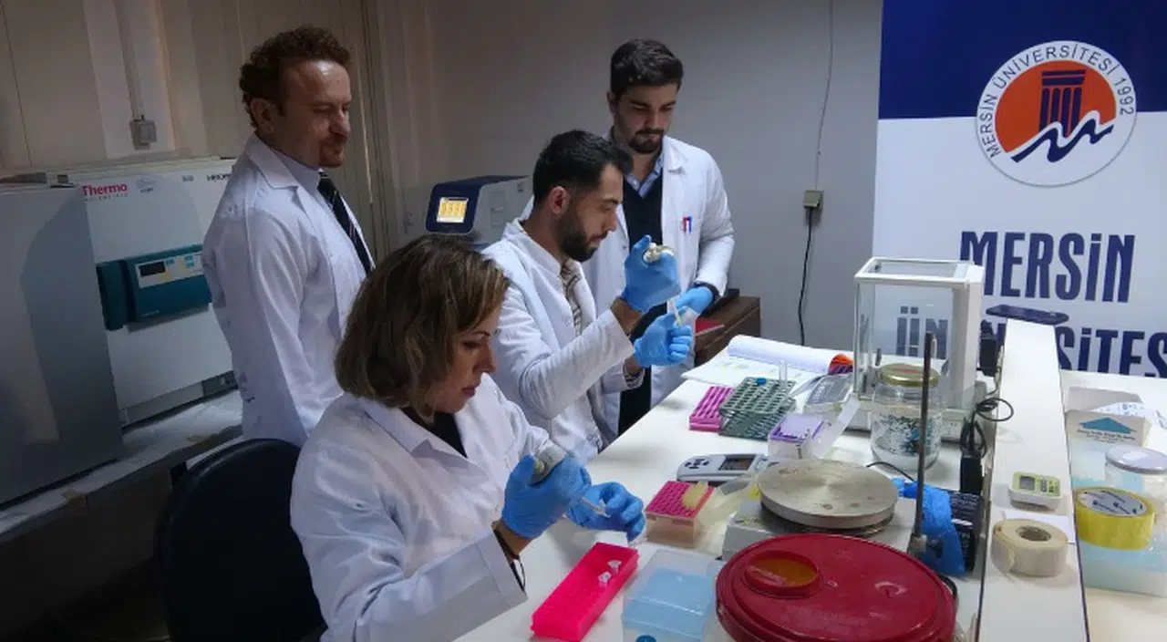 Kene hastalığına yönelik spesifik gen araştırması