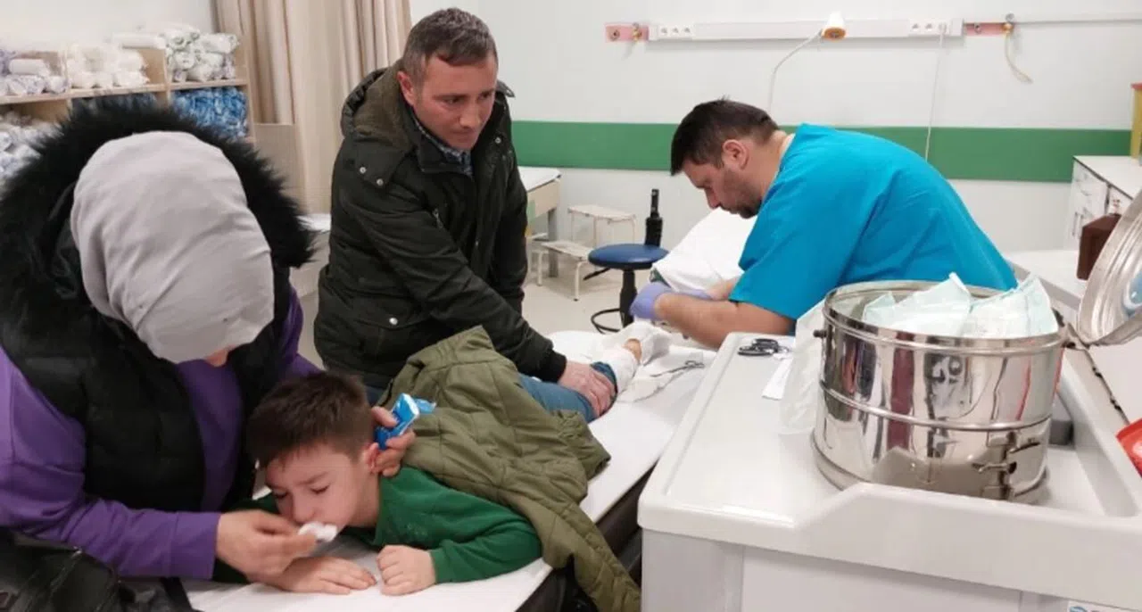 Samsun'da köpek dehşeti