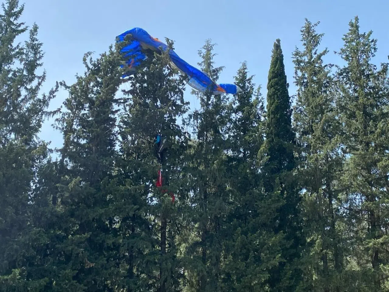 Gösteri yapan paraşüt pilotu ağaca takıldı