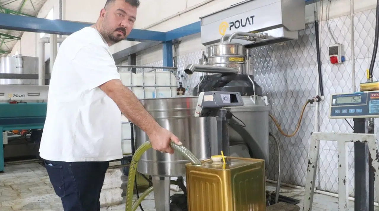 Yemeklerin vazgeçilmezi zeytinyağı, fabrikada 210 TL’den alıcı buluyor