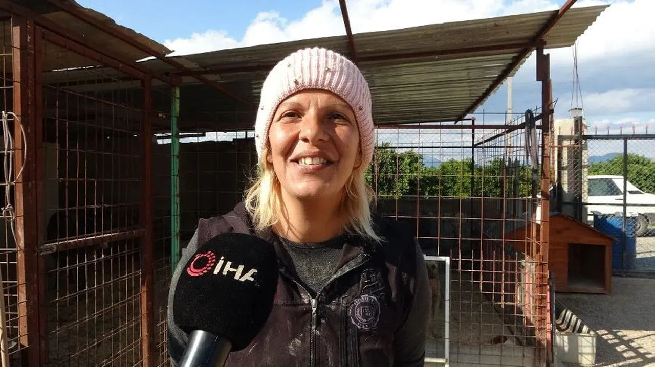 Yüzde 70'i engelli 254 sokak hayvanına yuva kurdu