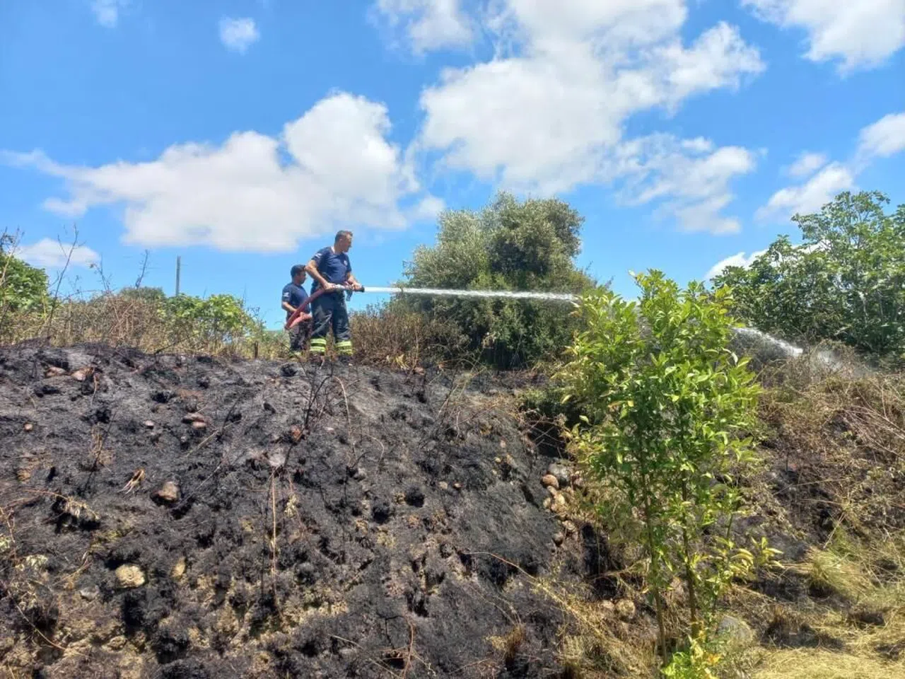 Samandağ'dan çıkan bahçe yangını söndürüldü